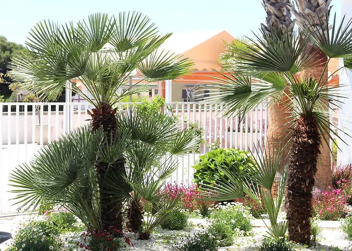 Lloret Splash Льорет-де-Мар